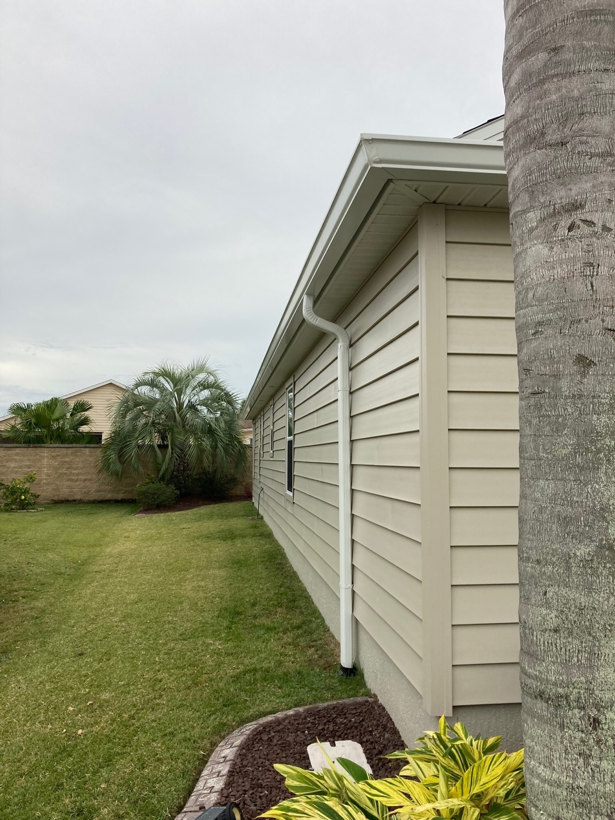 Ranch-style Florida home with palm tree and white seamless gutters